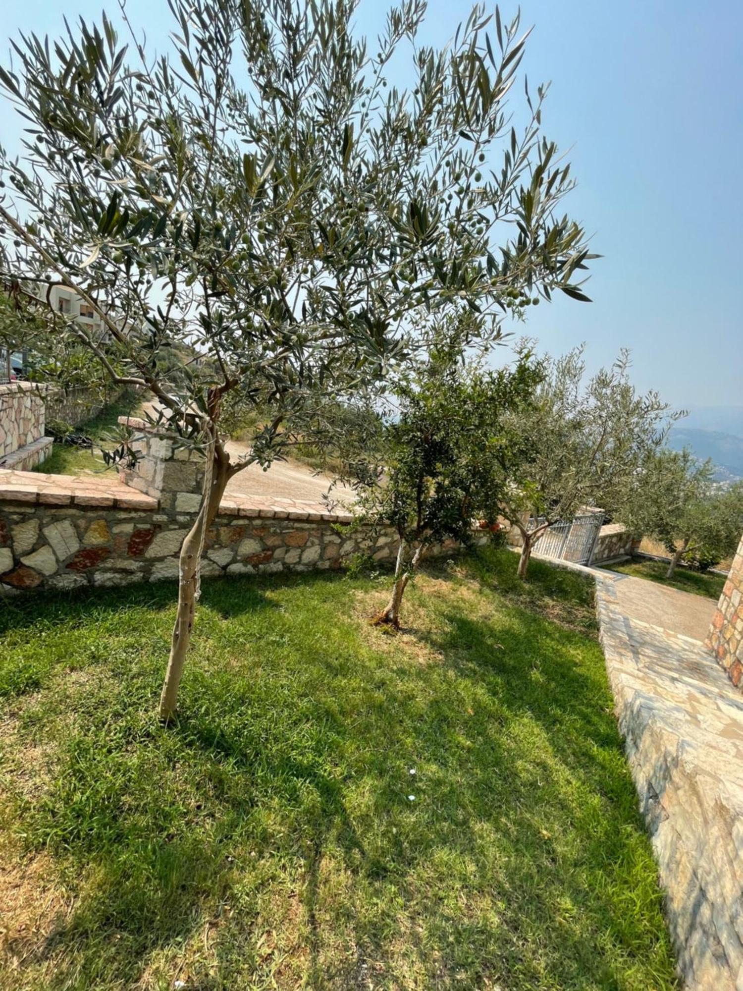 Belvedere Hotel & Suites Χειμάρρα Εξωτερικό φωτογραφία