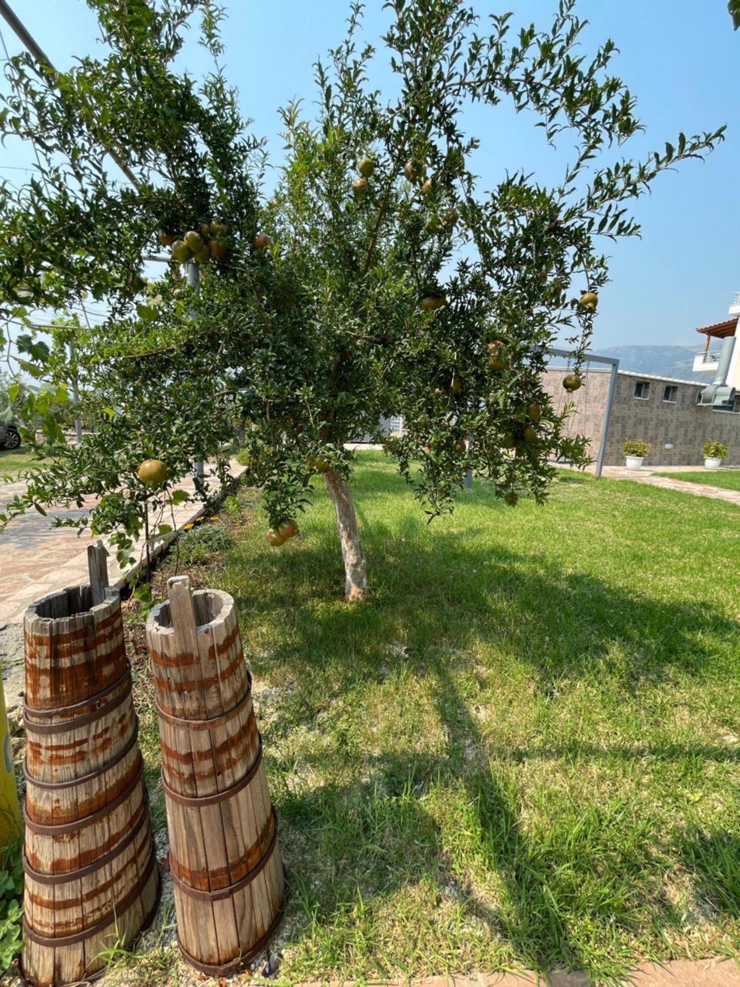 Belvedere Hotel & Suites Χειμάρρα Εξωτερικό φωτογραφία