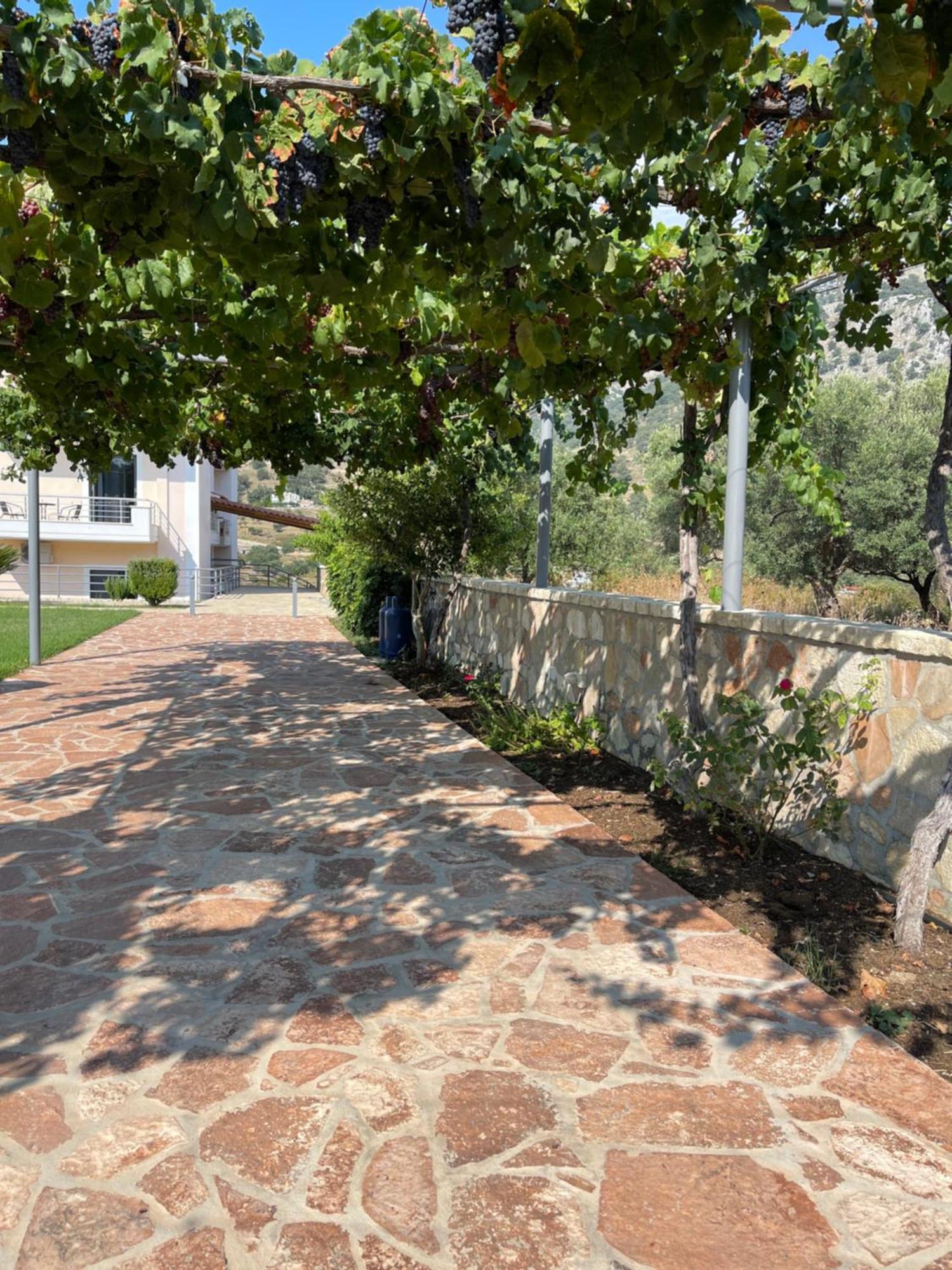 Belvedere Hotel & Suites Χειμάρρα Εξωτερικό φωτογραφία