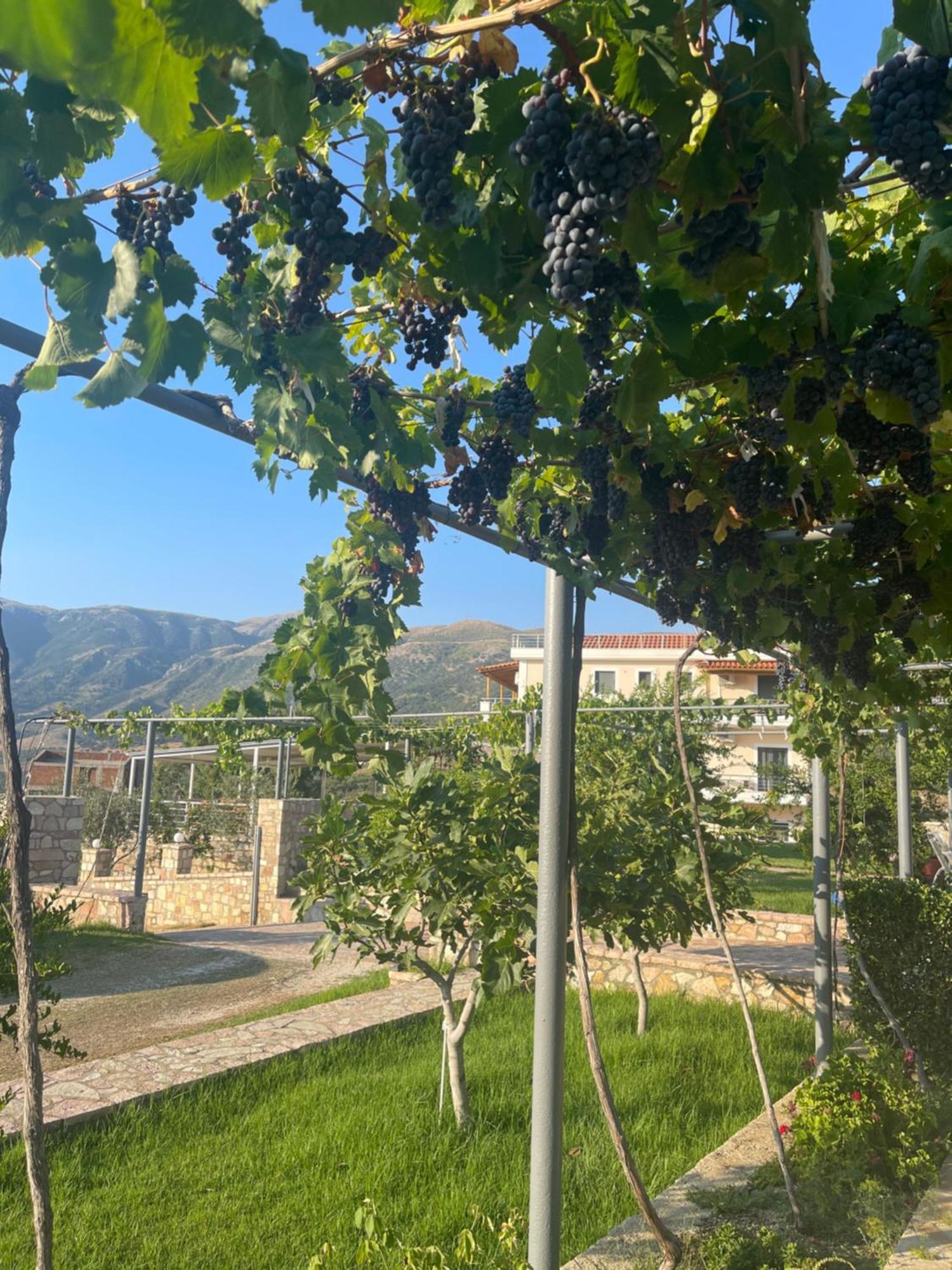 Belvedere Hotel & Suites Χειμάρρα Εξωτερικό φωτογραφία